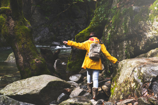 istock Solo traveler hiking in the forest 945916530