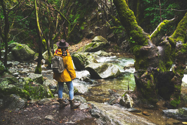 istock Solo traveler walking by the river in the forest 945924820