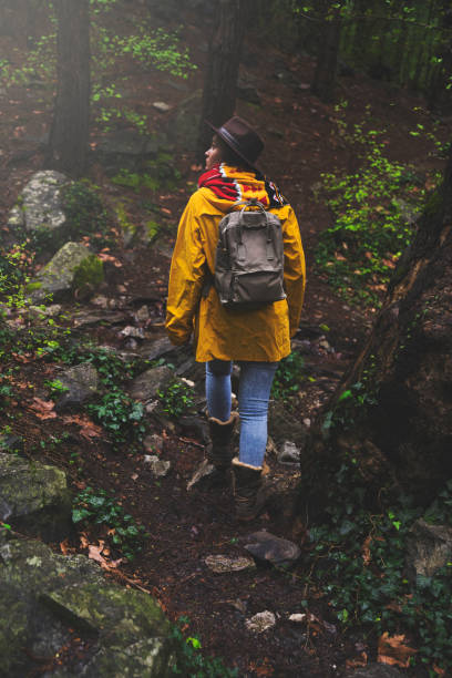 istock Solo traveler hiking in the forest 945928890