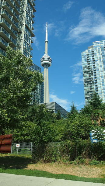 istock Land of the towers (clear) 945944430