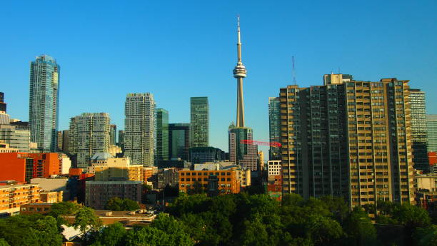 istock Downtown Toronto on the park (summer background) 945944556