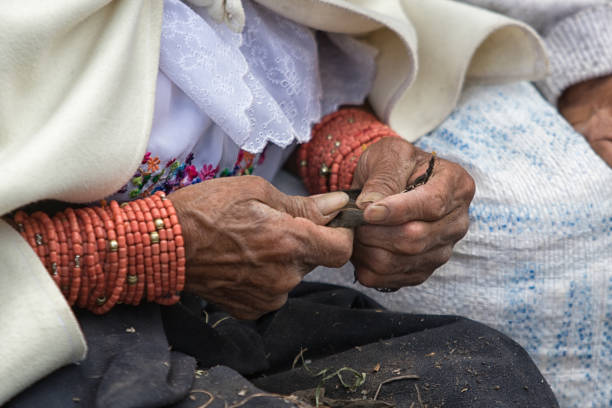 closeup of the hands of an indigenous woman in Ecuador stock photo