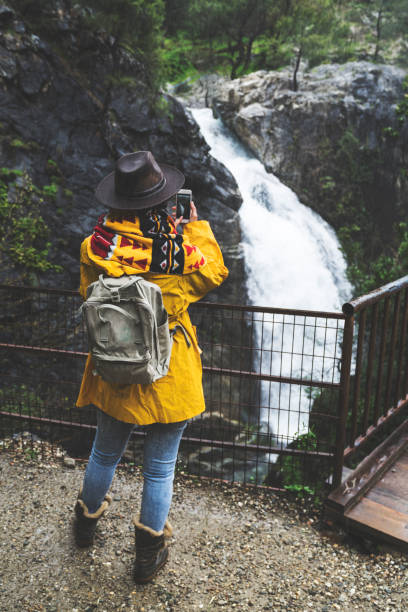 istock Solo traveler mobile photographing in the forest 945944986