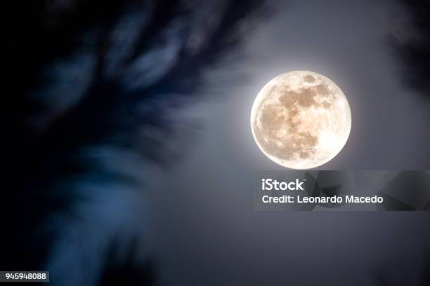 Full Moon Stock Photo - Download Image Now - Moon Surface, Moon, Planetary Moon