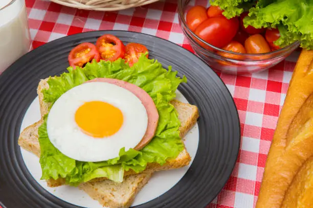 Closeup of delicious egg sandwich served on the dining table