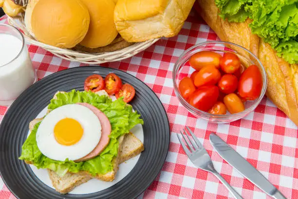 Closeup of egg sandwich with assorted bread, milk and tomato on the table