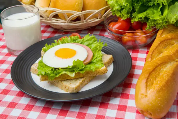 Image of yummy egg sandwich with breads, milk, and tomato on the table
