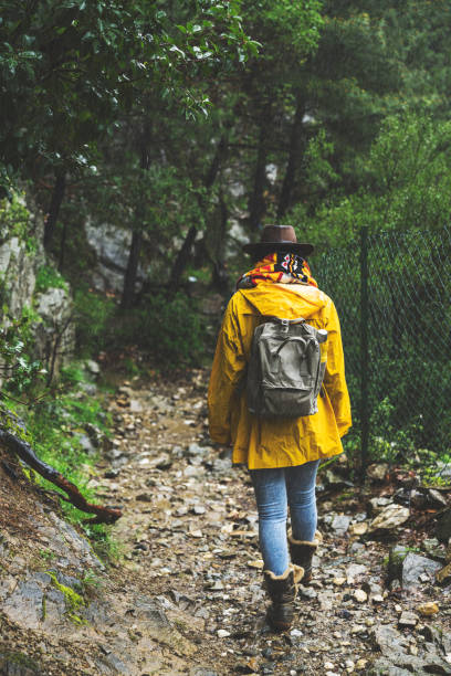 istock Solo traveler hiking in the forest 945951392