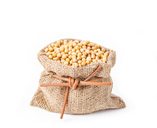 istock Soybean in a sack bag. Isolated on white 945958042