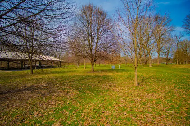 A park in broad ripple