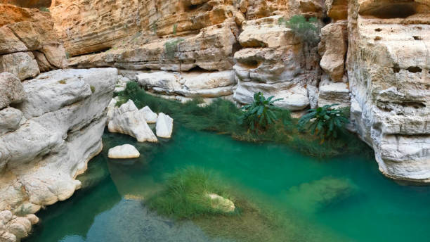 Emerald waters and white rocks of Wadi Shab in Oman Emerald green waters and white rocks along the desert oasis hike of Wadi Shab in Oman wadi shab stock pictures, royalty-free photos & images