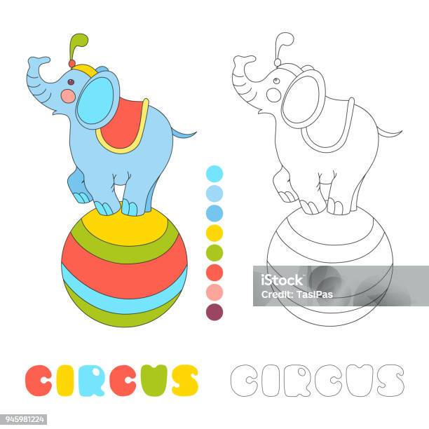 Circus Elephant On The Big Ball Ivector Coloring Book Page Stock Illustration - Download Image Now