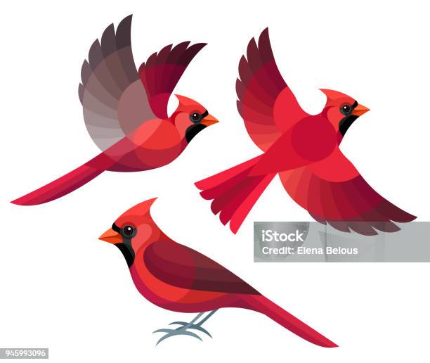 Stylized Birds Stock Illustration - Download Image Now - Bird, Cardinal - Bird, Flying