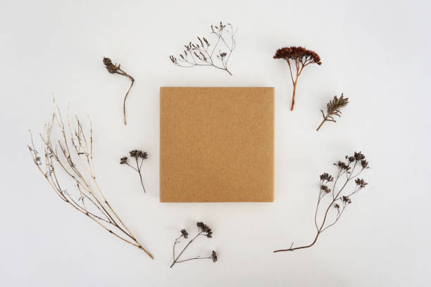 istock Beige square box and lots of dried herbs on a white background. Empty space, mock up. 945995696