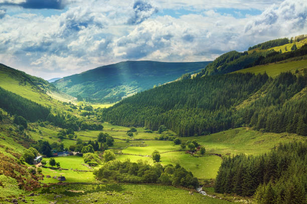 la vallée de glenmacnass, comté de wicklow, irlande - mountain pastures photos et images de collection