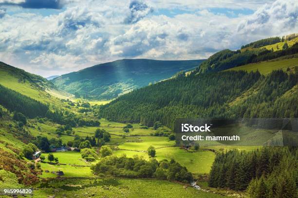 Glenmacnass Valley Contea Di Wicklow Irlanda - Fotografie stock e altre immagini di Irlanda - Irlanda, Paesaggio, Foresta