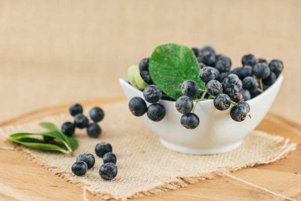 Fresh aronia fruit berries in bowl. Portion of chokeberries. Studio shot.