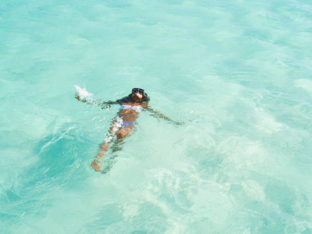 istock Swimming in the Caribbean sea 946005042