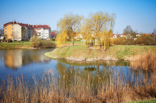 istock Residential district with a pond park. 946009230
