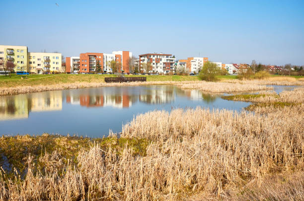 istock Residential district with a pond park. 946009388
