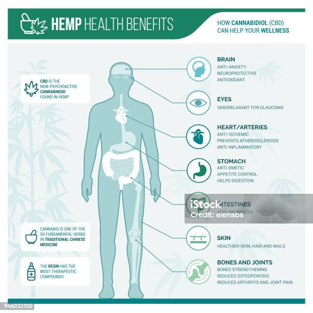 Medicinal Hemp Health Benefits Stock Illustration - Download Image Now - The Human Body, Infographic, Icon Symbol