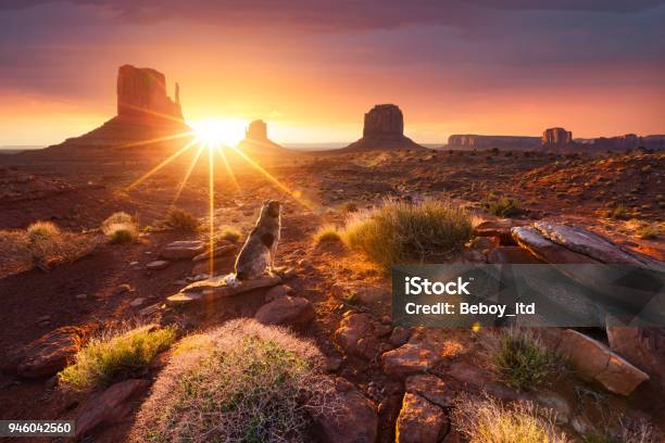 Monument Valley At Sunrise Stock Photo - Download Image Now - Arizona, Desert Area, Sunset
