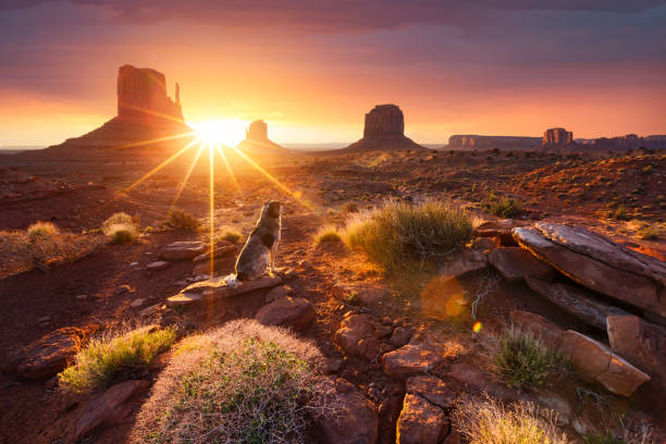 monument valley at sunrise - arizona desert landscape monument valley imagens e fotografias de stock