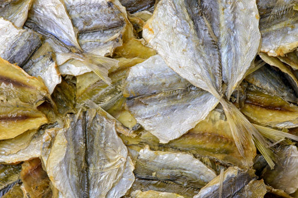 istock Dried fish to beer. Macro detail background 946043852