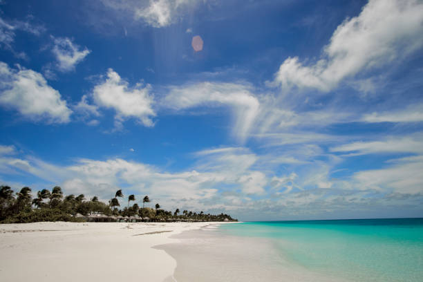 istock Princess Diana beach in Barbuda 946044108