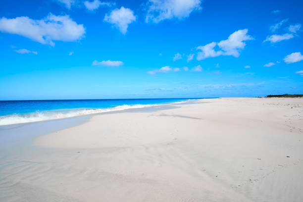 istock Princess Diana beach in Barbuda 946044438