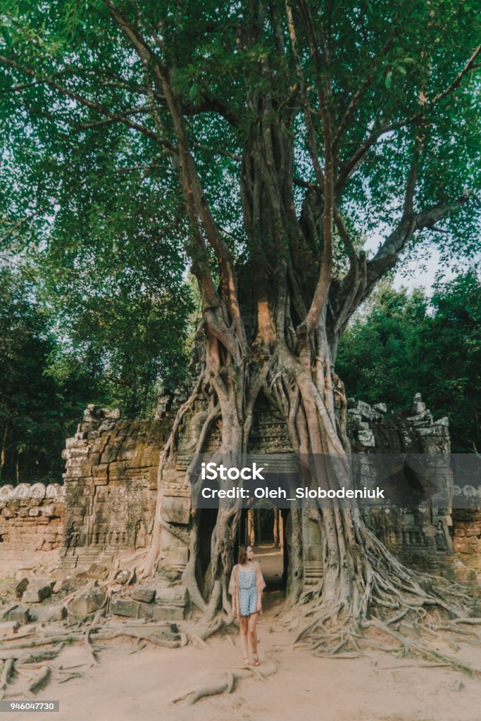 Jeune femme de race blanche dans le temple d’Angkor - Photo de Adulte libre de droits