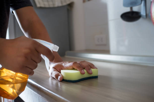 istock cleaning her house using a spray and a duster cleans 946051594