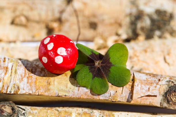 lucky clover with lucky guy, wood background