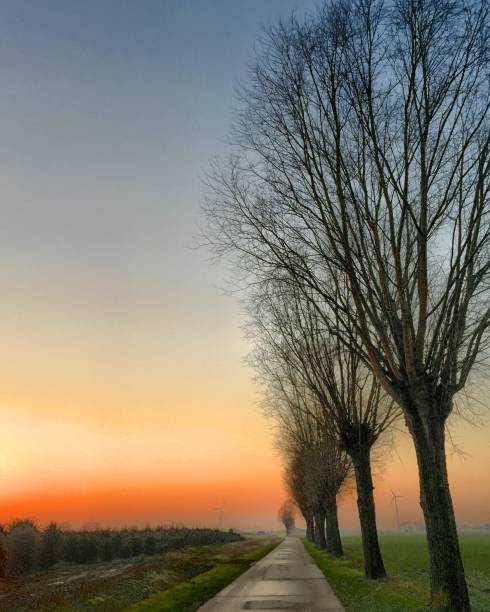 istock Idyllic and colorful sunrise 946060926