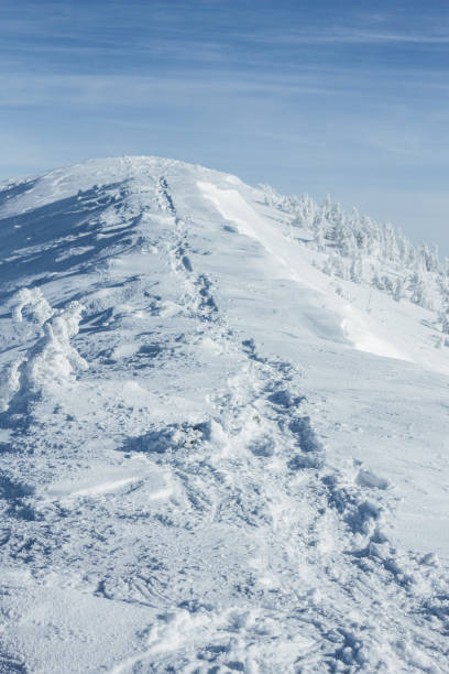 istock Tranquil winter Carpathian mountains landscape 946086750