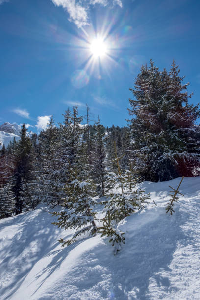 istock Above La Tania 946098810