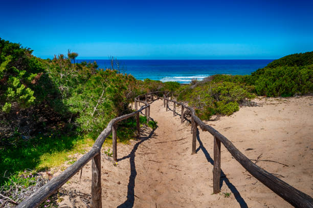 istock path towards the sea through the beach 946102108