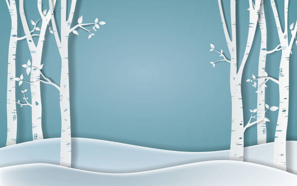 wald der wintersaison, papier-vector illustration - birke stock-grafiken, -clipart, -cartoons und -symbole
