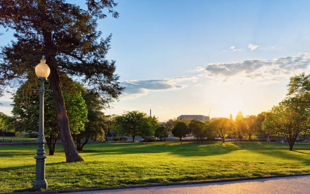 istock Sunset in park in National Mall Washington DC 946102892