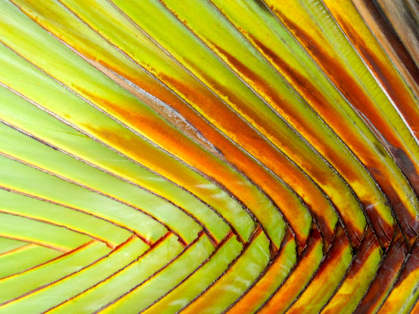 istock branch palm leaves colorful pattern 946105864