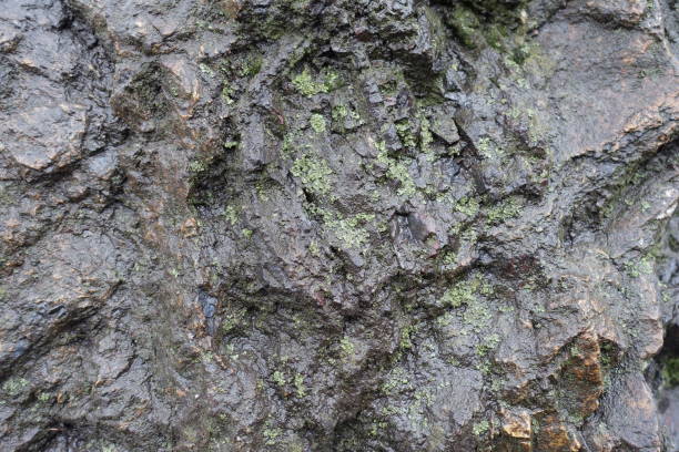 istock Uneven surface of wet black stone with lichen 946109100
