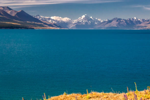 istock New Zealand view 946114696