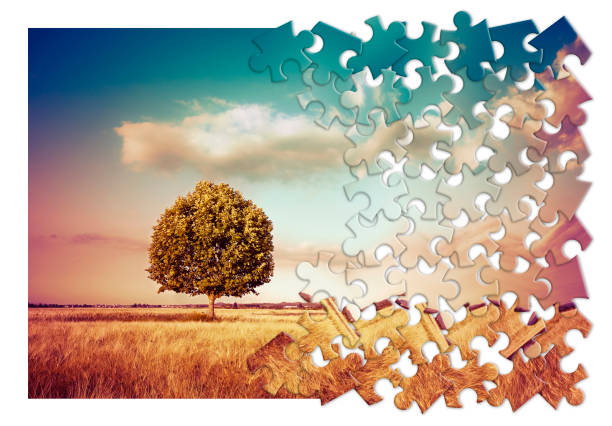 istock Isolated tree in a tuscany rural scene (Italy) - environmental conservation concept image in jigsaw puzzle shape
