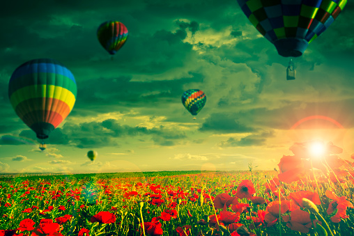 hot air balloons over fileld with red poppies