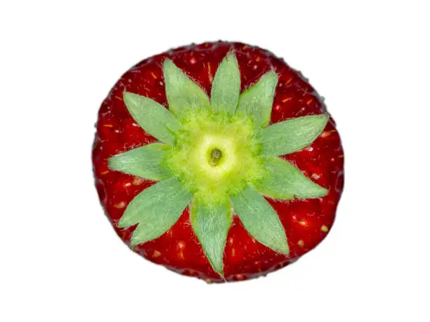 A top view of natural strawberry with white background. Not edited its shape, so it has hairs on the surface.