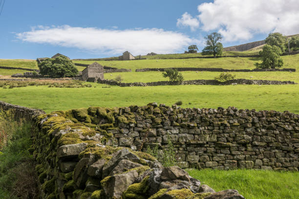 istock North Yorkshire landscape Arkengarthdale in summer 946166290