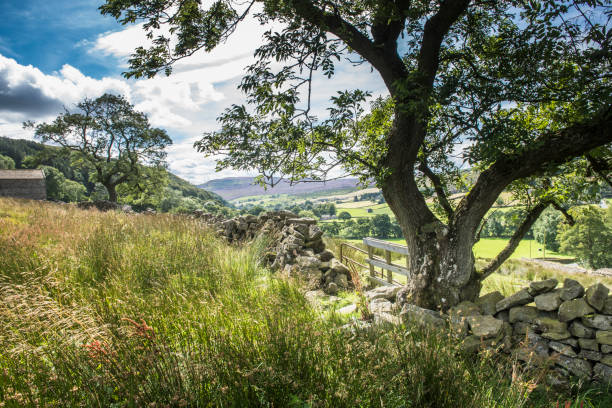 istock North Yorkshire landscape Arkengarthdale in summer 946166442