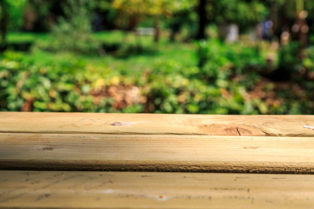 Empty wooden table and forest with trees in nature.