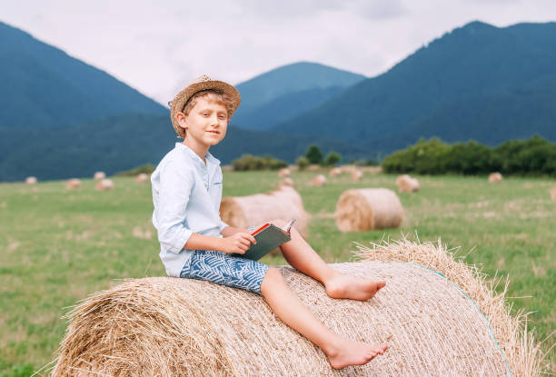 istock Reading boy sits over the haystack roll on the mountain field 946196994