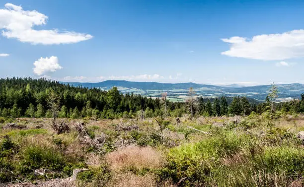 view to Orlicke hory mountain range from hiking trail bellow Klepy hill in Kralicky Sneznik mountains in Czech republic during nice summer day with blue sky